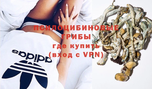 соль курить ск Козловка