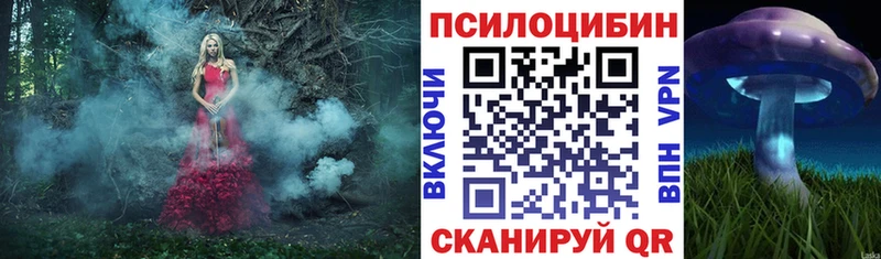 Купить закладки  Сковородино  Псилоцибиновые грибы MAGIC MUSHROOMS 