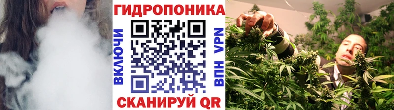 Купить где  Сковородино  Шишки марихуана семена 